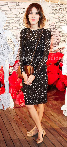 Alexa Chung wearing Mulberry Lily Clutch - Celebrity Style Guide