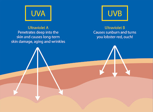 uva and uvb rays explained