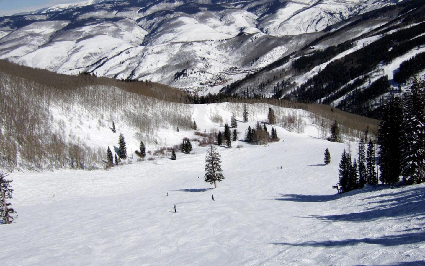 Beaver Creek-Colorado Larkspur Bowl