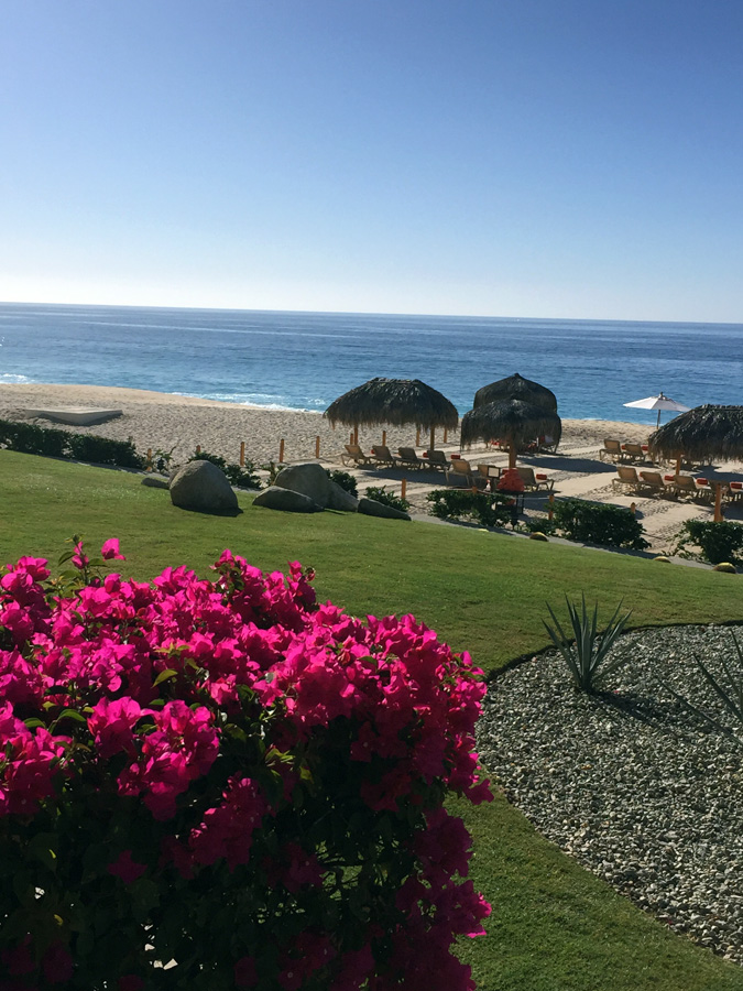 Room-view-cabo