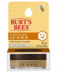 Burt’s Bees Exfoliator for Dry Lips