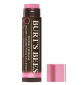 Burt’s Bees Tinted Lip Balm