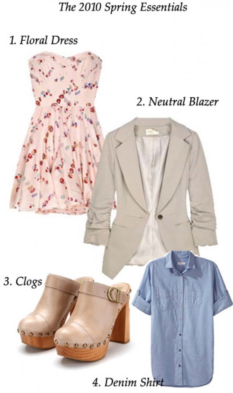 Shopping The Spring 2010 Celebritiy Style Guide!