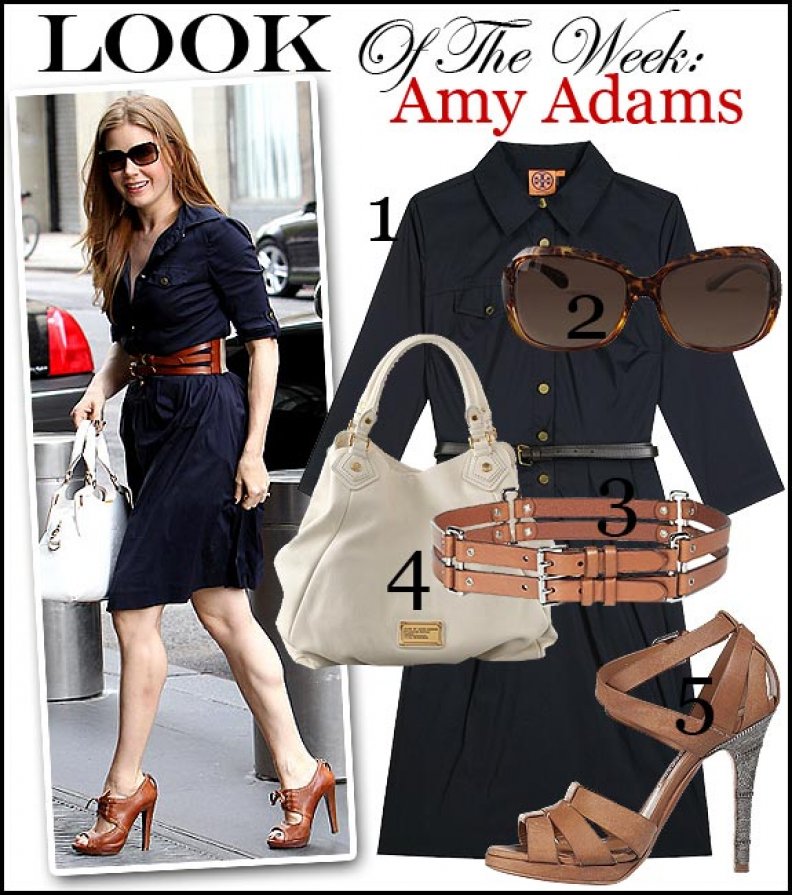 Look Of The Week: Amy Adams