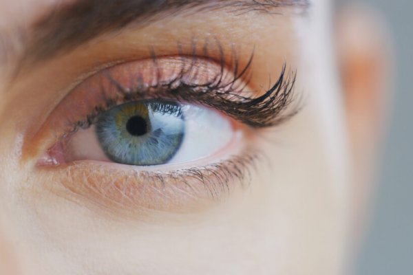 The 7 Best Eyelash Serums For a Falsie Effect!