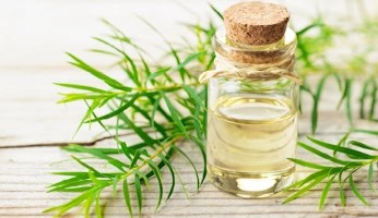 Best Tea Tree Oil For Skin and Hair Health: Why You Should Be Using This Essential Oil