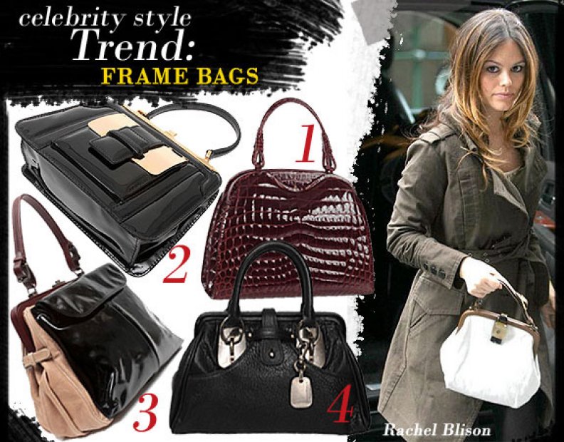 Celebrity Style Trend: FRAME BAGS