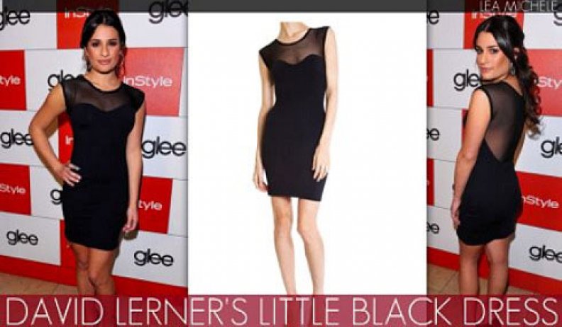 David Lerner Mesh Tank Dress