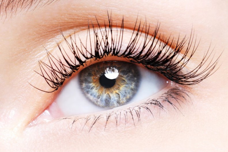 How Long Does it Take for Eyelashes to Grow Back & Best Treatments