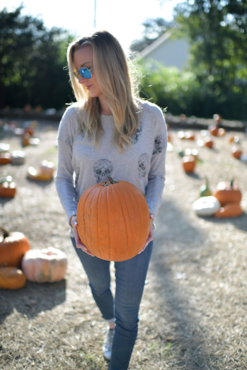 celebrity style pumpkin patch