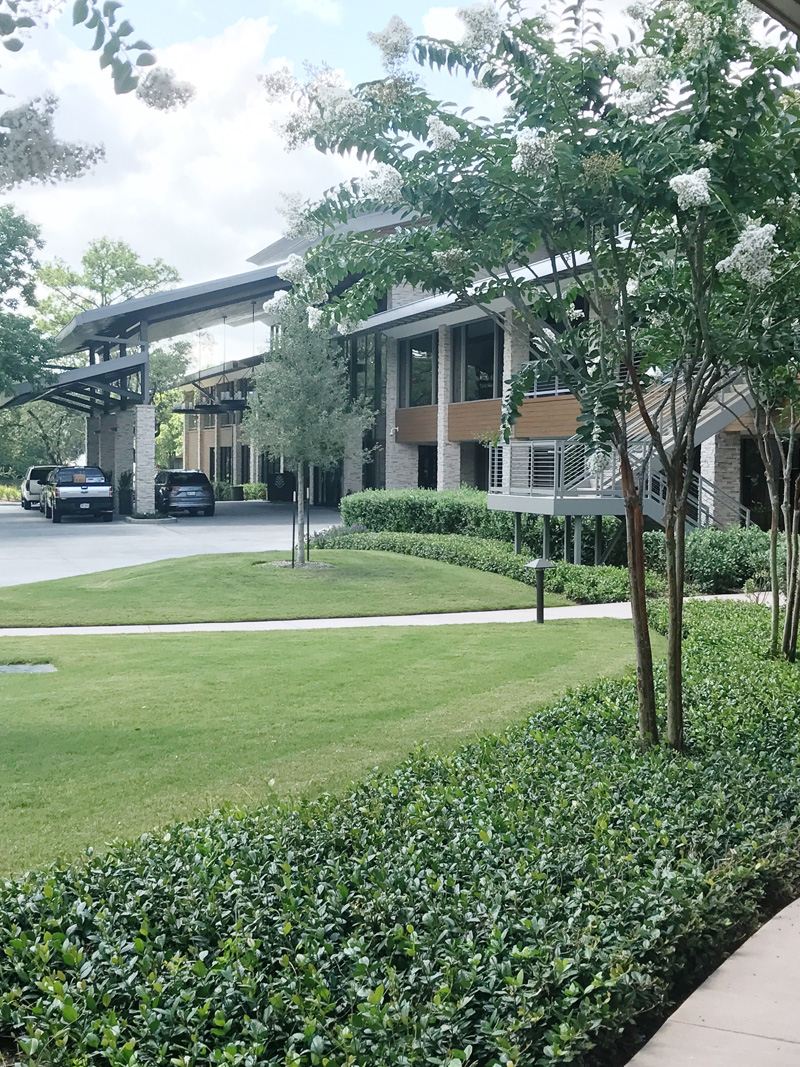 woodlands-resort-entrance-driveway